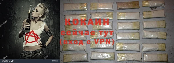 PSILOCYBIN Богородицк