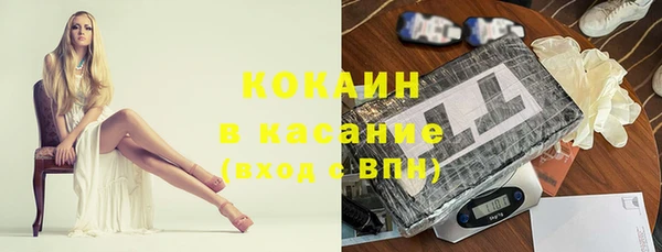 шишки Богородск