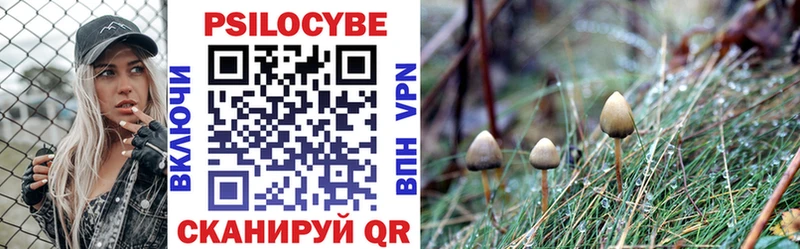 купить наркотики сайты  Мирный  Псилоцибиновые грибы GOLDEN TEACHER 